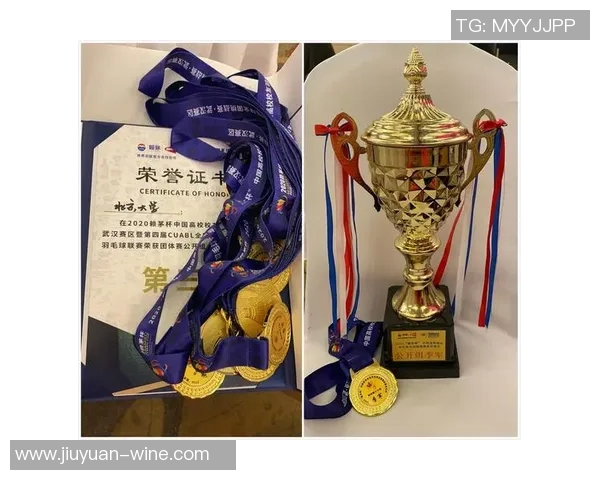 赛后复盘分析北京羽毛球队与杭州羽毛球队的战术对决与表现总结