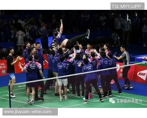 南京羽毛球队的成长之路：一段羽毛球的奋斗与荣耀纪实