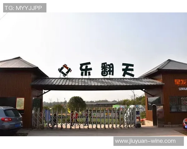 成都羽毛球队勇攀高峰的奋斗故事与冠军赛荣耀之路 成都羽毛球队勇攀高峰的奋斗故事与冠军赛荣耀之路