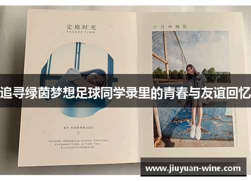 追寻绿茵梦想足球同学录里的青春与友谊回忆