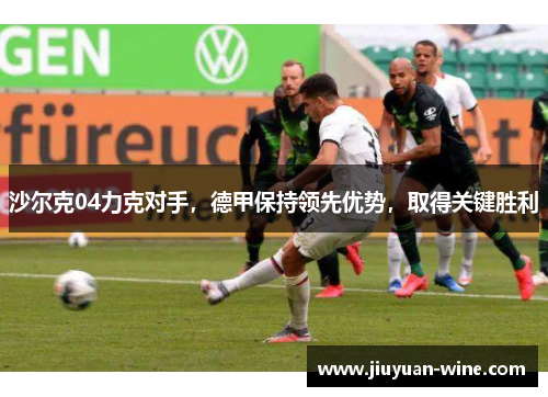 沙尔克04力克对手，德甲保持领先优势，取得关键胜利
