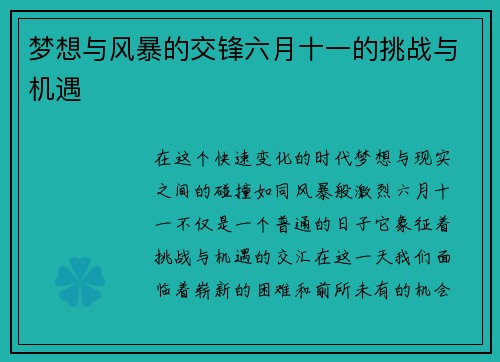 梦想与风暴的交锋六月十一的挑战与机遇
